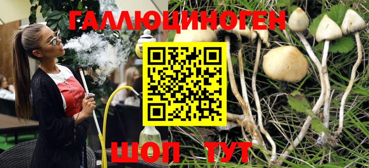 Галлюциногенные грибы Magic Shrooms  Вход с VPN  Галлюциногенные грибы MAGIC MUSHROOMS  Конаково 