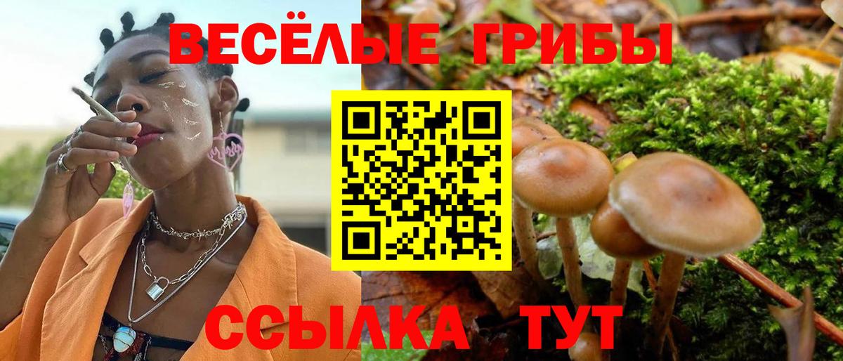 Галлюциногенные грибы MAGIC MUSHROOMS Конаково
